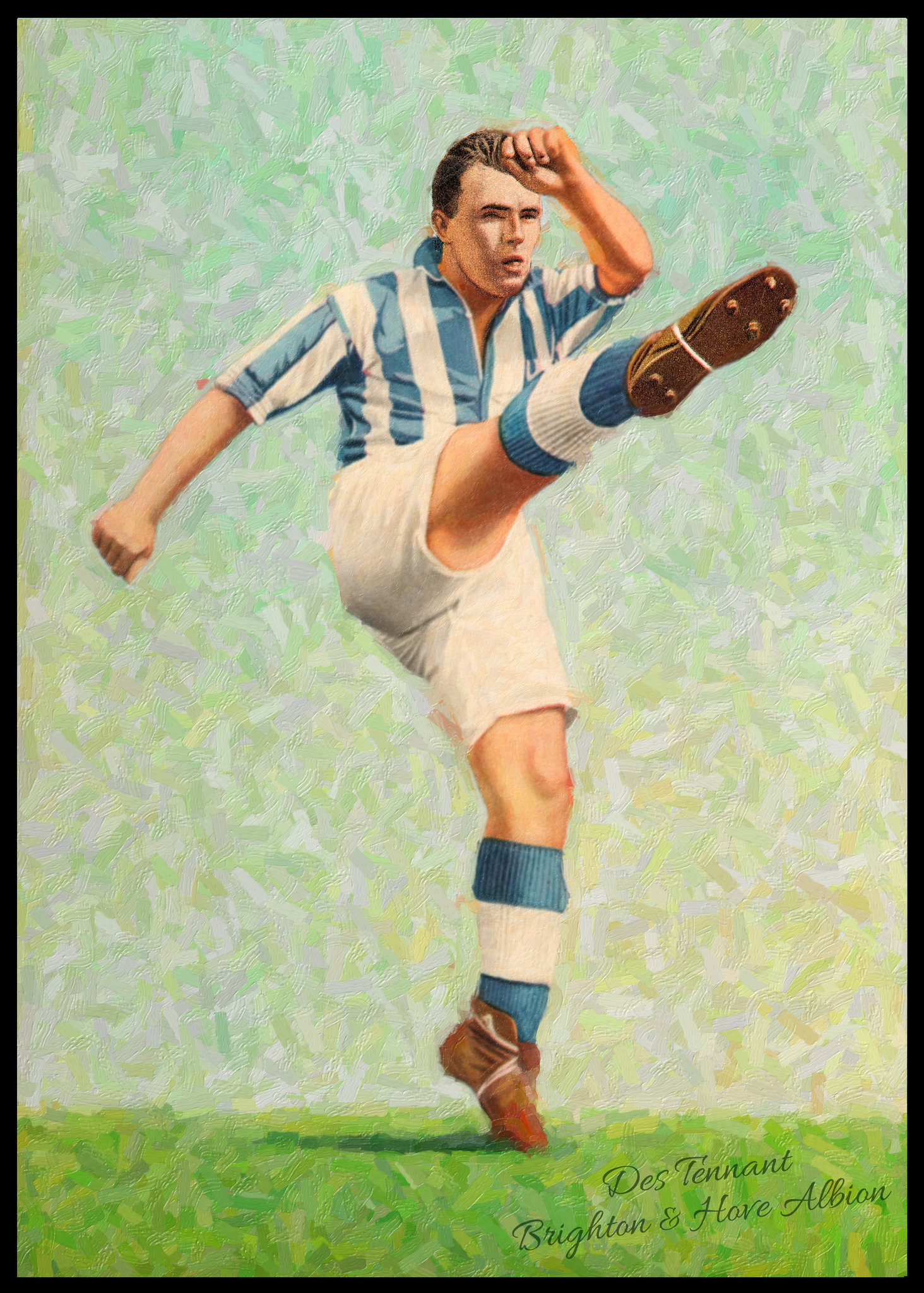 Des Tennant The Heart and Soul of Brighton & Hove Albion