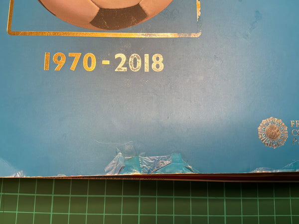 World Cup Panini Football Collections 1970 - 2018